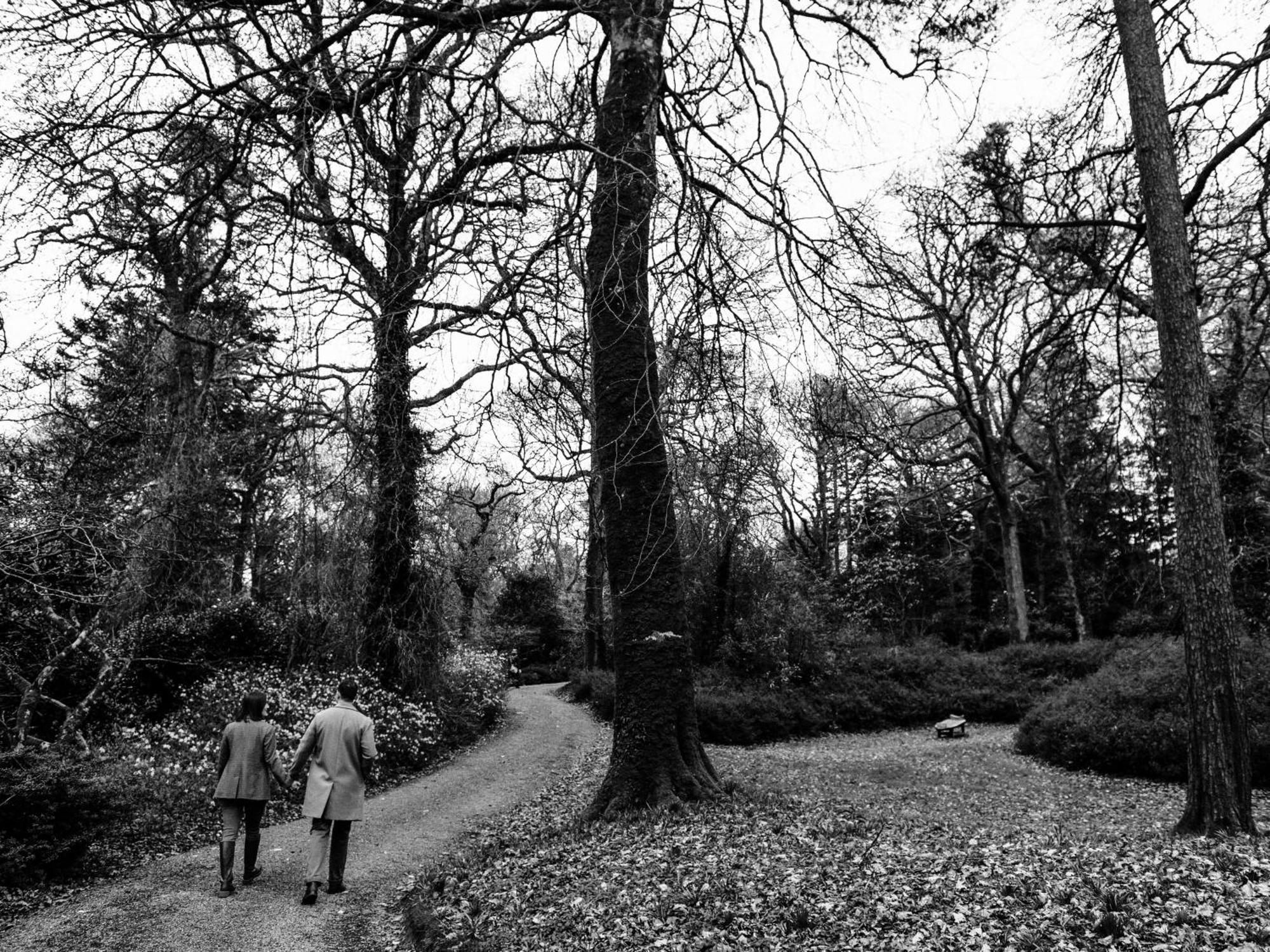 The Forest At Mount Congreve Gardens Kilmeaden Ngoại thất bức ảnh