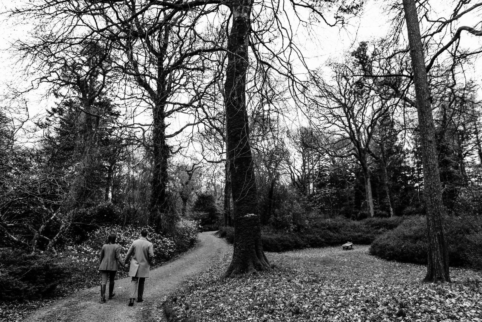 The Forest At Mount Congreve Gardens Kilmeaden Ngoại thất bức ảnh
